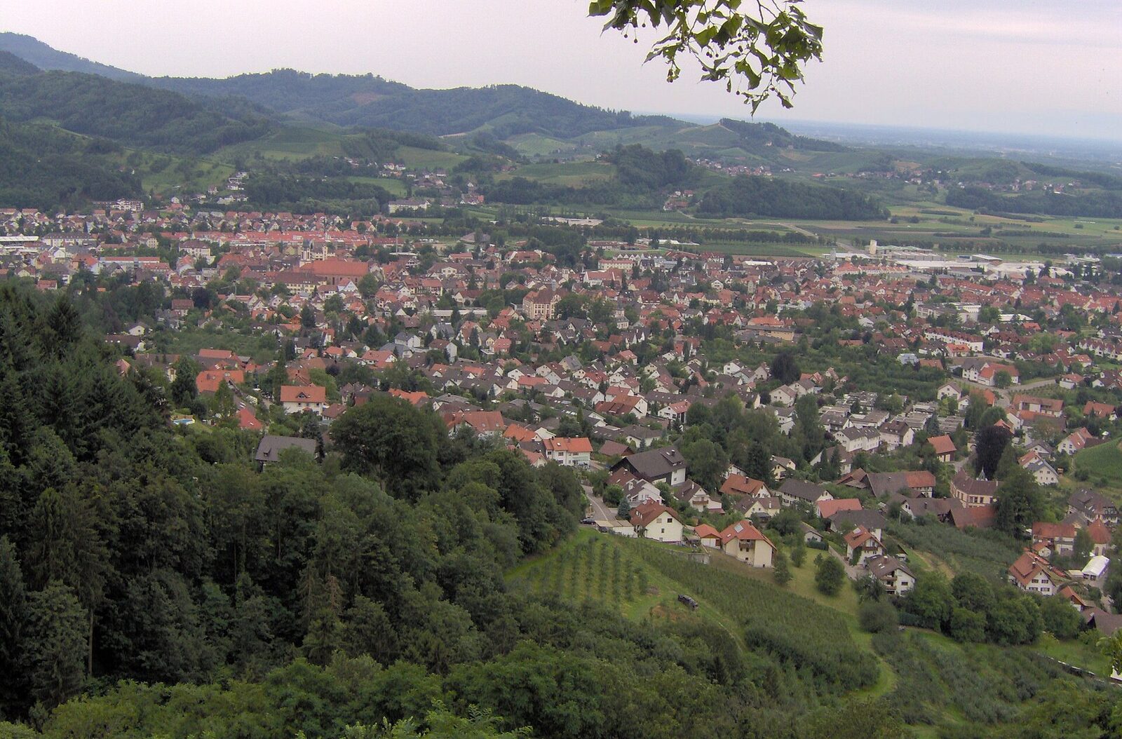 Blick auf Oberkirch im Renchtal